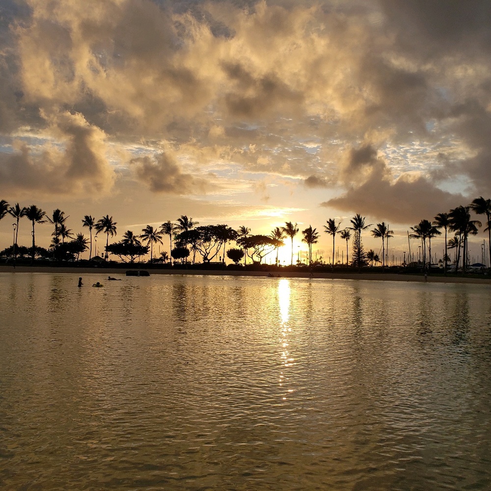 Meet your Posher, Sheba